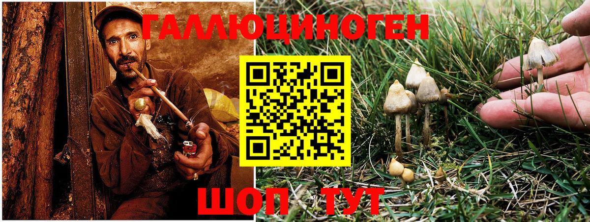 Галлюциногенные грибы MAGIC MUSHROOMS Михайловск